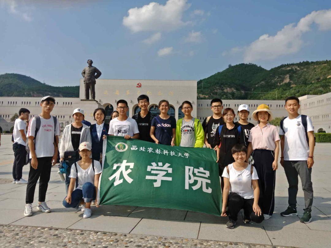 《庆余年》滕梓荆死了，这是为了推动剧情发展吗?游戏画面